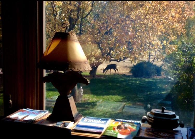 Sundance Suite - Prairie Rose Bed & Breakfast Τσεγιέν Εξωτερικό φωτογραφία